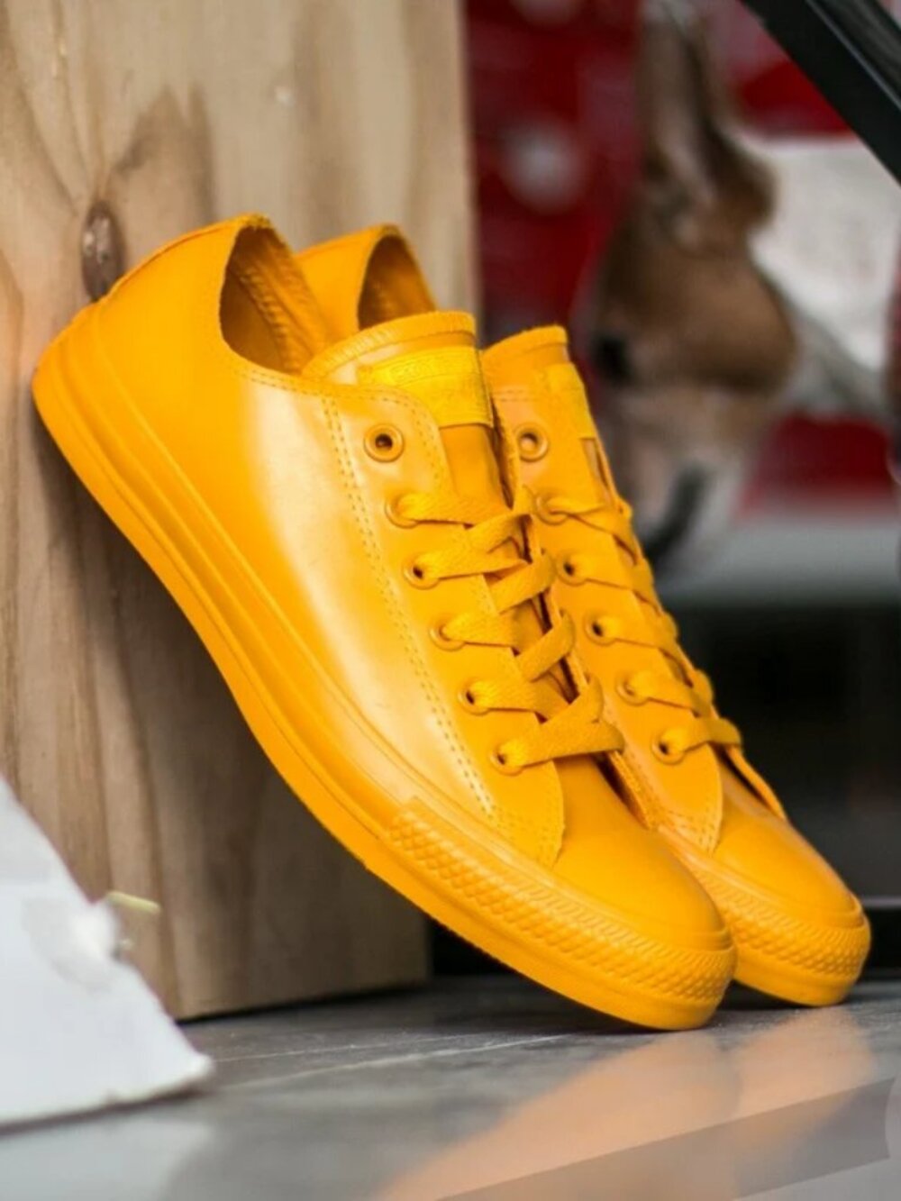 Converse Men's Chuck Taylor Rubber Low Top Yellow/ Yellow